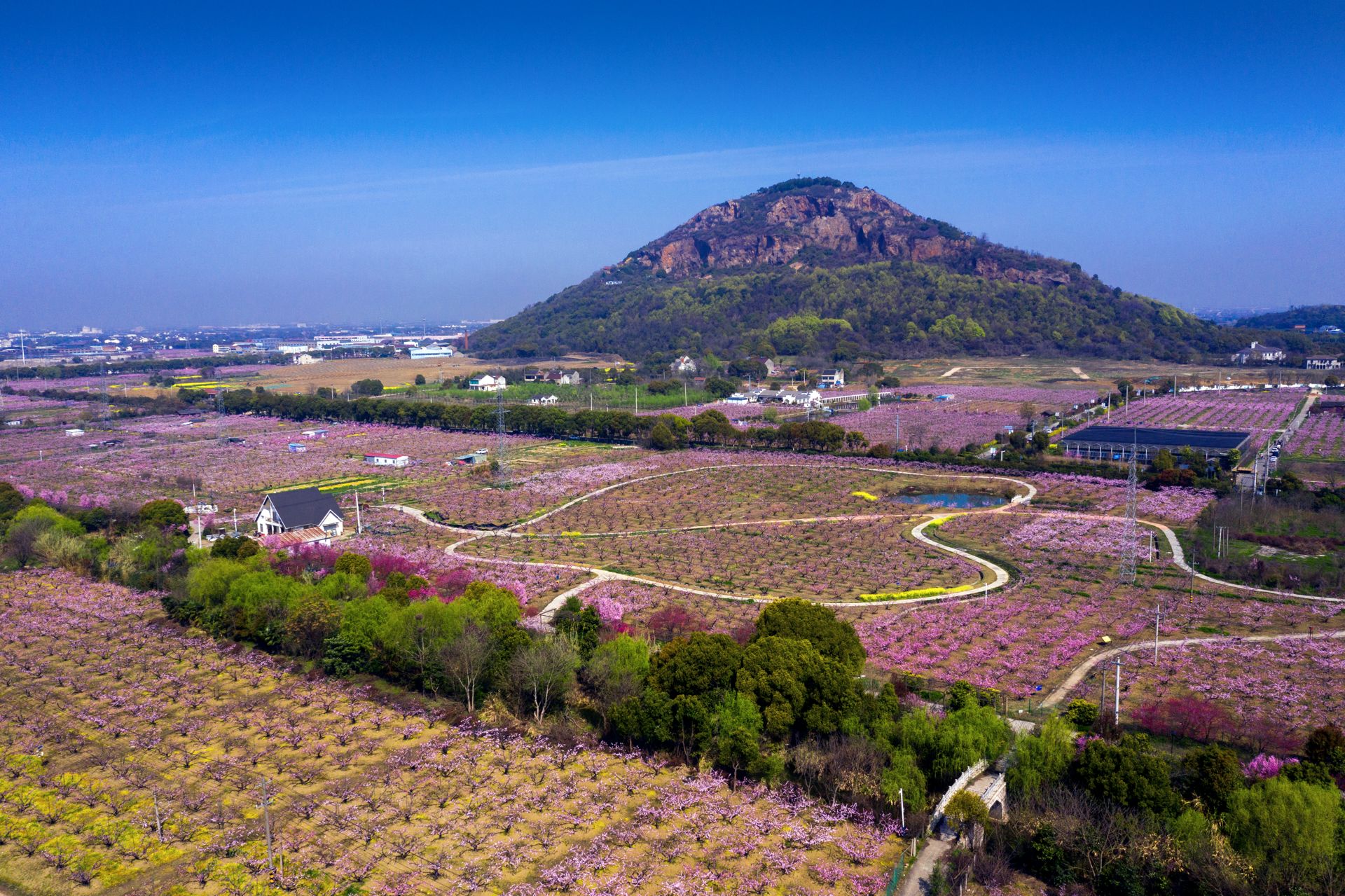 桃源村：记住乡愁的美丽乡村“江苏样板”