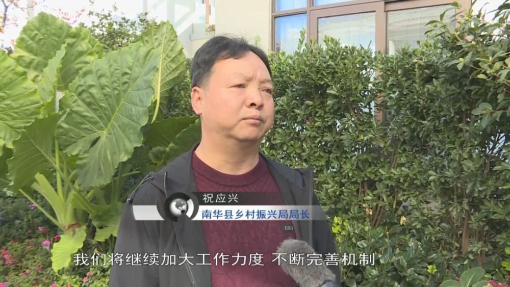 蘑菇种植致富新闻_蘑菇致富有新招_蘑菇种植新技术