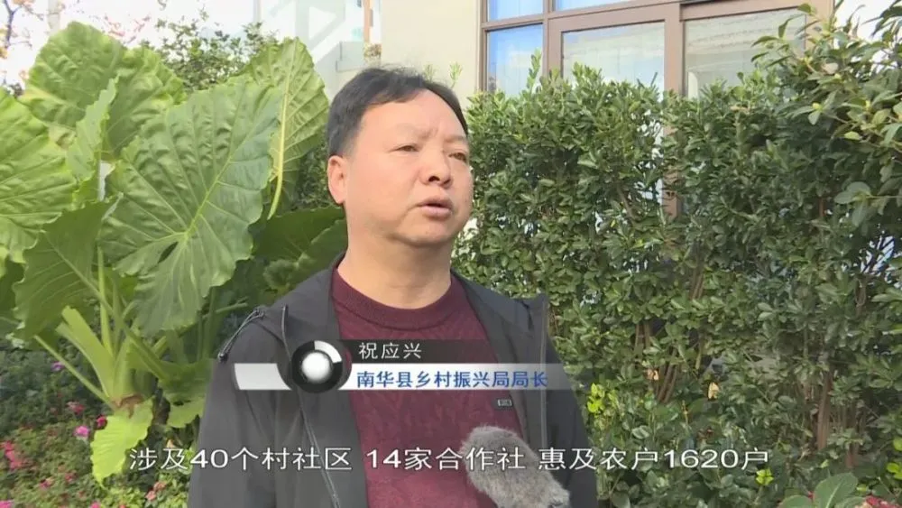 蘑菇种植致富新闻_蘑菇种植新技术_蘑菇致富有新招