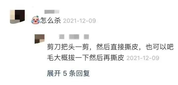 养桂花雀真的能赚钱吗_最新桂花雀鸟养殖视频_桂花雀养殖技术要视频