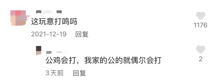 养桂花雀真的能赚钱吗_最新桂花雀鸟养殖视频_桂花雀养殖技术要视频