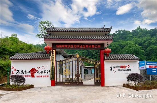 湖南火龙果种植基地_湖南农村火龙果种植致富_湖南种火龙果怎么样