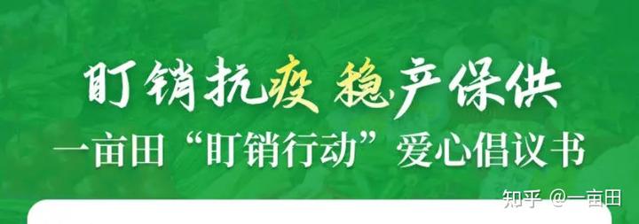 黑辣椒种植成本与利润_黑辣椒种植致富经山东_山东种辣椒的产区是哪里