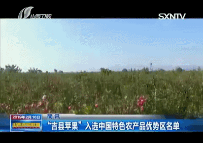 山西省种植什么_山西的种植制度_山西种植致富方法