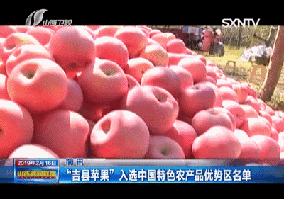 山西省种植什么_山西的种植制度_山西种植致富方法