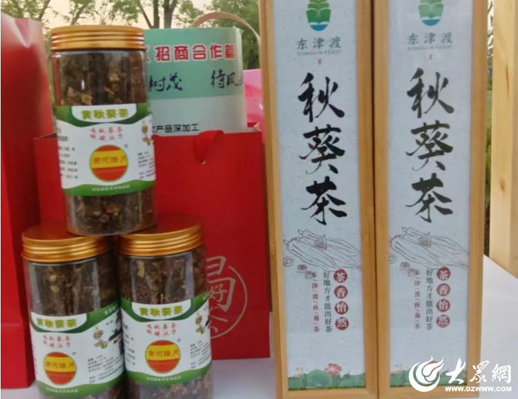 致富经种植秋葵致富_种植秋葵的前景和利润_致富种植秋葵图片