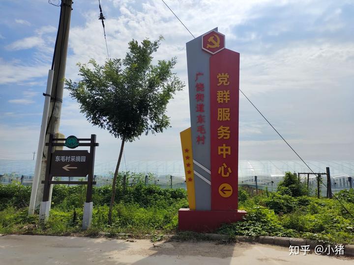 小米种植效益_小米种植市致富_小米种植基地