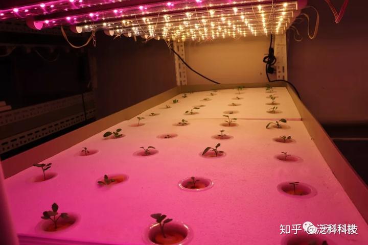 灵石县致富煤矿地址_灵石种植致富项目_致富种植灵石项目怎么样