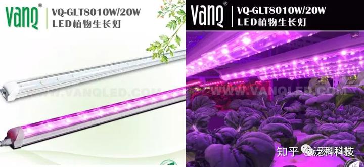 致富种植灵石项目怎么样_灵石种植致富项目_灵石县致富煤矿地址