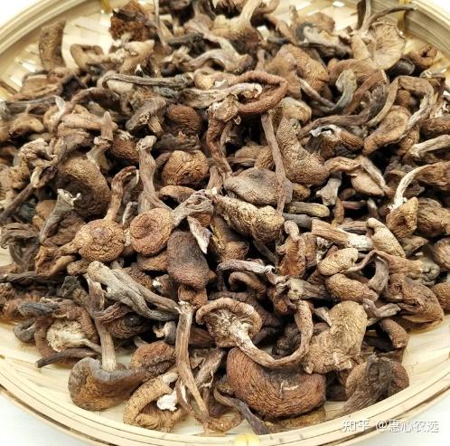 稻谷做平菇菌种技术_稻花香里种植平菇致富新闻_科技苑稻草平菇种植视频