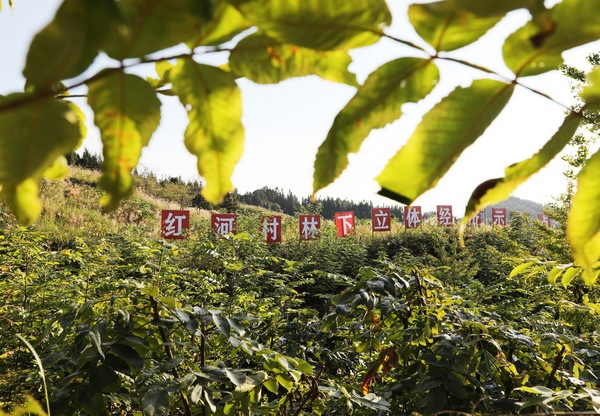 养殖致富项目一_致富养殖毕节项目有哪些_毕节养殖致富项目