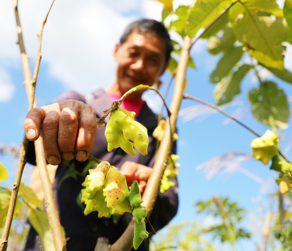 毕节养殖致富项目_致富养殖毕节项目有哪些_养殖致富项目一