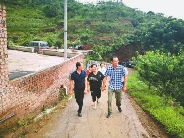 他带领村民，在石头里种出致富树