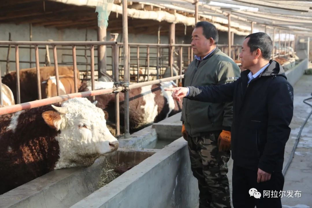 致富养殖好项目大全_养殖致富经2019年全集_养殖的致富之路