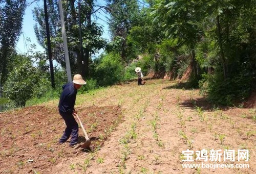 农民致富养殖业_致富农村养殖种植_农民种田养殖致富