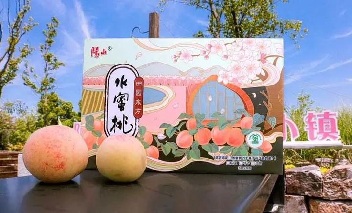 致富经桃树种植视频_桃源致富_种植桃致富