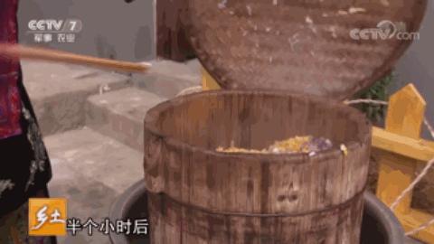 农广天地种植金针菇技术视频_金针菇种植骗局_致富经种植金针菇种植