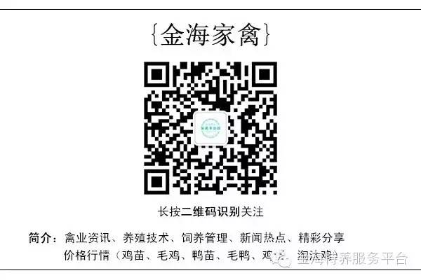 貉子养殖技术大全书籍_貉子养殖技术大全_养殖大全技术貉子视频