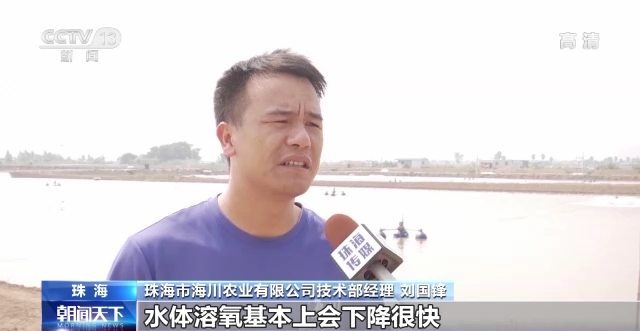 高温“烤验”下 水产养殖如何应对？
