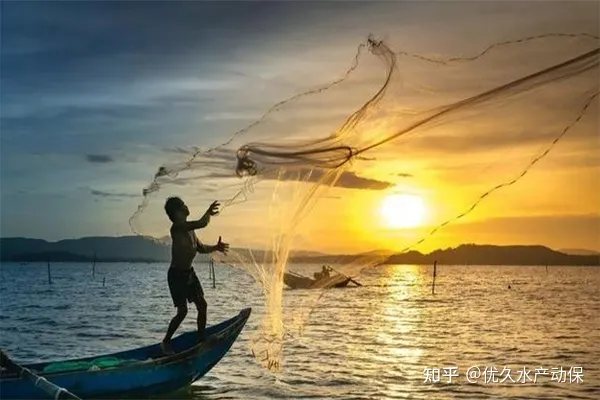 渔业养殖技术都有哪些_渔业养殖业_我国渔业养殖技术有哪些