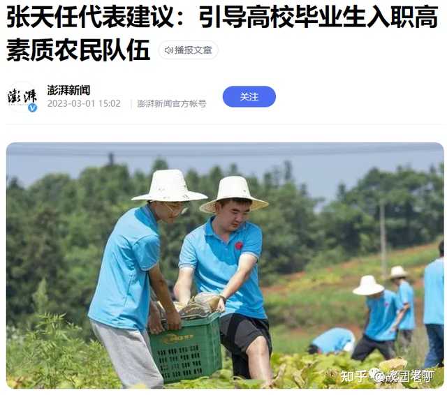 胡蜂养殖致富案例_致富经胡蜂养殖_胡蜂养殖前景