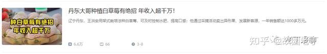 胡蜂养殖致富案例_胡蜂养殖前景_致富经胡蜂养殖