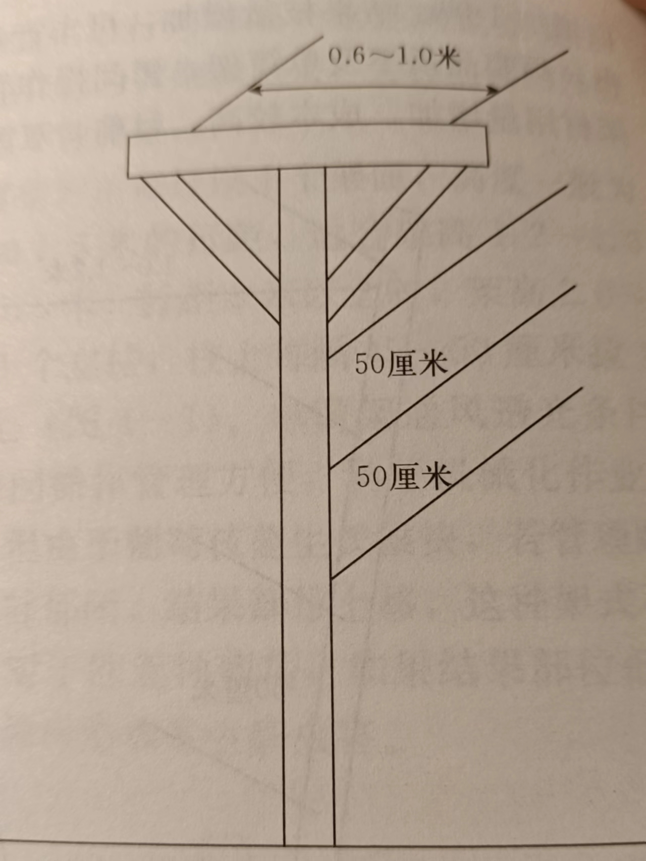 苗种植葡萄技术要求_葡萄苗种植方法_葡萄苗种植技术