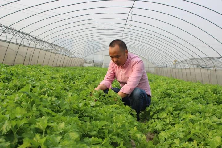 赵士发致富经视频_赵士发致富经视频_赵士发致富经视频