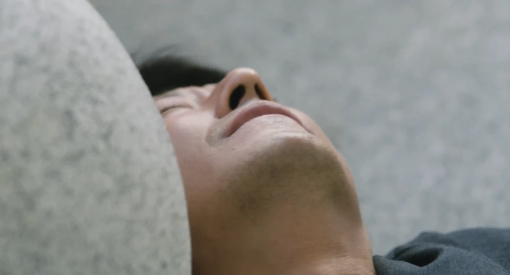 致富经2018养鸡视频_致富经养殖鸡视频_曾珊养鸡致富经