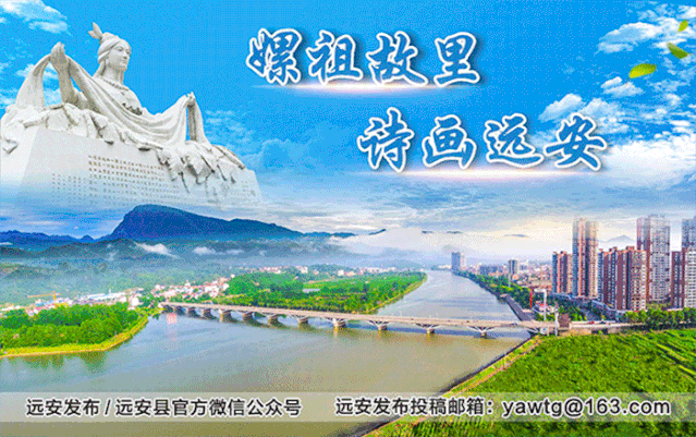 青蛙养殖新技术培训_青蛙养殖新技术培训_青蛙养殖新技术培训