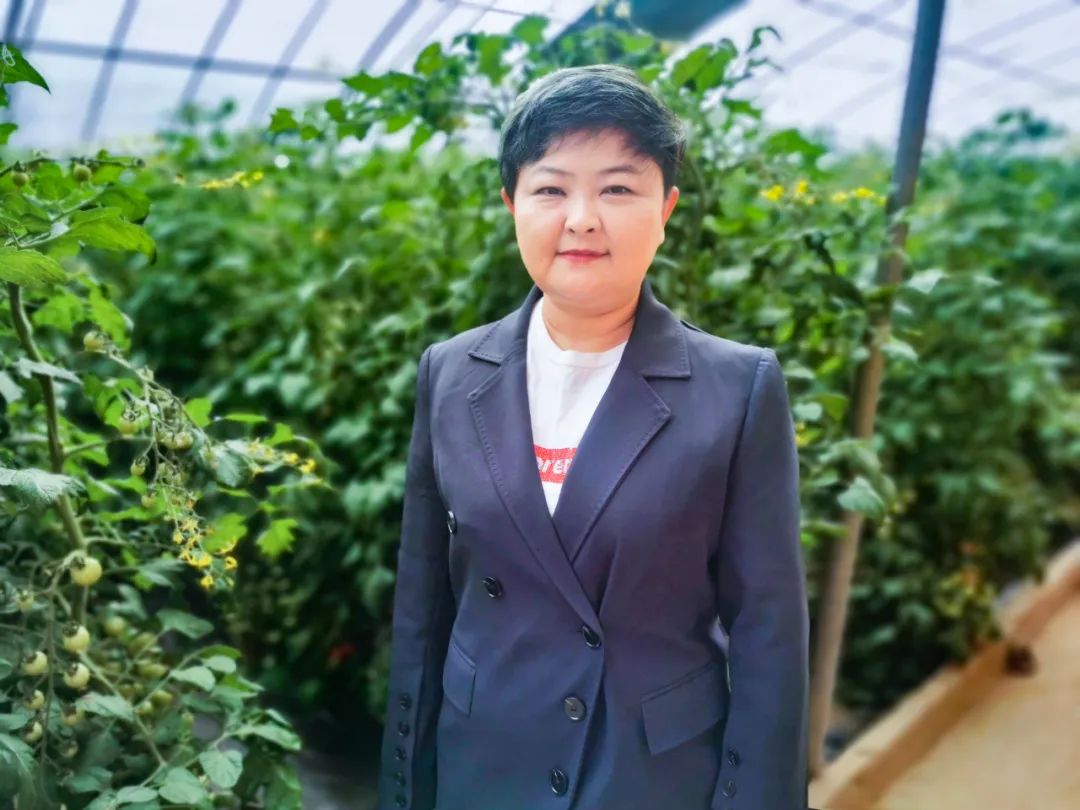 留守妇女怎么赚钱_留守妇女种植蔬菜致富经验_留守妇女创业找项目