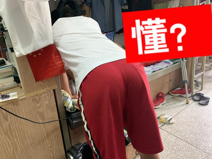 家庭蝇蛆怎么养殖技术_养殖蝇蛆技术视频_养殖家庭蝇蛆技术方案