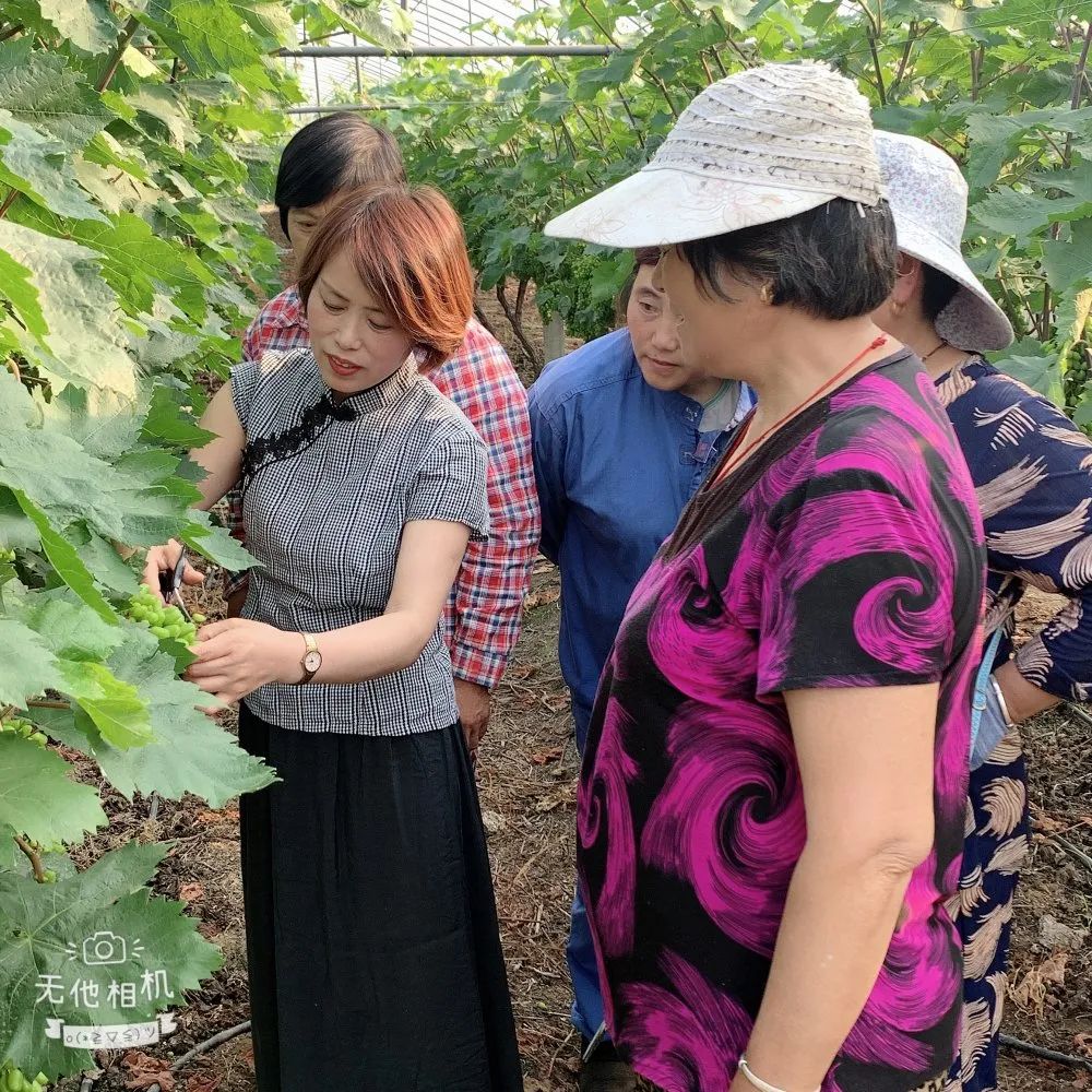 留守妇女适合做什么工作_留守妇女怎么赚钱_留守妇女种植蔬菜致富经验