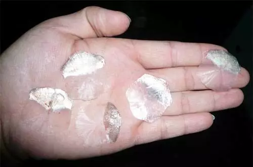 草鱼养殖技术视频高清_草鱼鲩鱼养殖技术视频_草鱼养殖视频教程