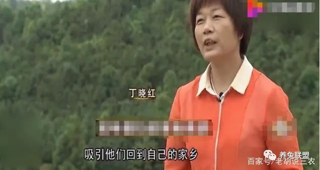 致富经肉兔养殖_养殖肉兔挣钱吗_养殖肉兔的利润和成本