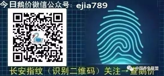 养殖肉兔的利润和成本_致富经肉兔养殖_养殖肉兔挣钱吗