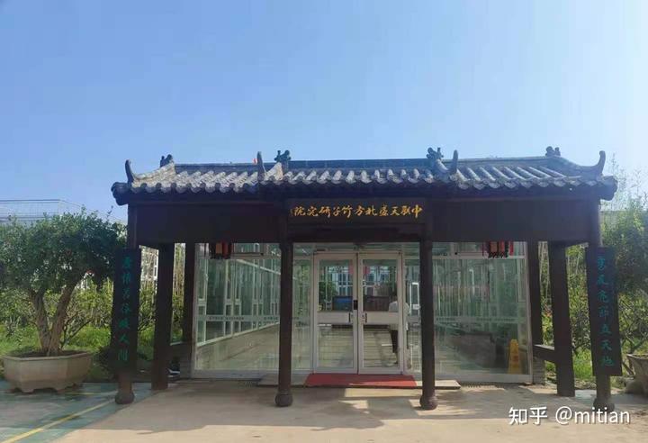 致富竹子种植图片大全_竹子种植致富图片_致富竹子种植图片欣赏