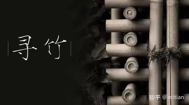 竹子种植致富图片_致富竹子种植图片欣赏_致富竹子种植图片大全