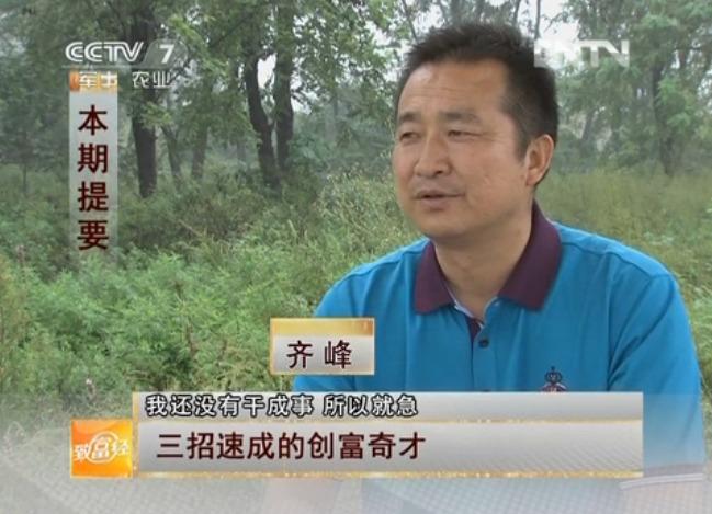 致富梅花财富图片大全_致富经改变命运的梅花鹿_致富经梅花财富