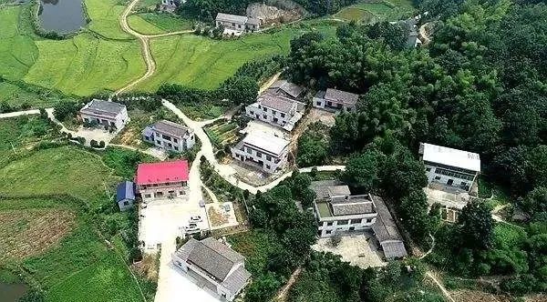 致富种植益阳项目有哪些_益阳种植经济作物_益阳种植致富项目