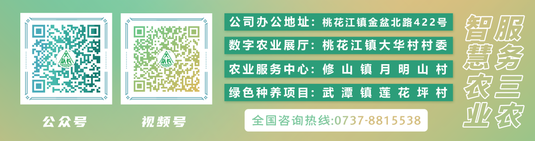 益阳种植致富项目_湖南益阳适合种植什么药材_益阳市种植业技术推广中心