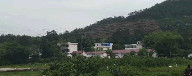 面包虫养殖大全技术幼虫图片_面包虫幼虫养殖技术大全_面包虫养殖大全技术幼虫视频