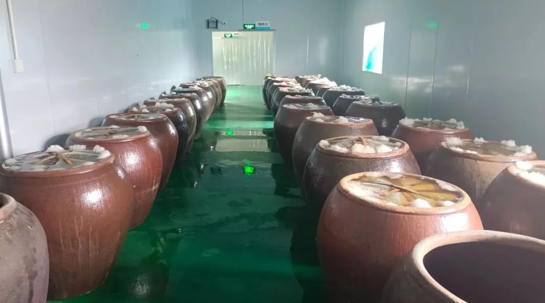 致富经养螺_致富经田螺养殖_种植致富螺视频