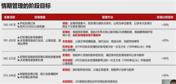 中国养猪网