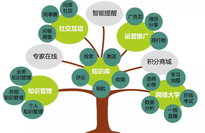 优质公司管理经验分享会_分享管理经验主持词_分享管理经验的标题