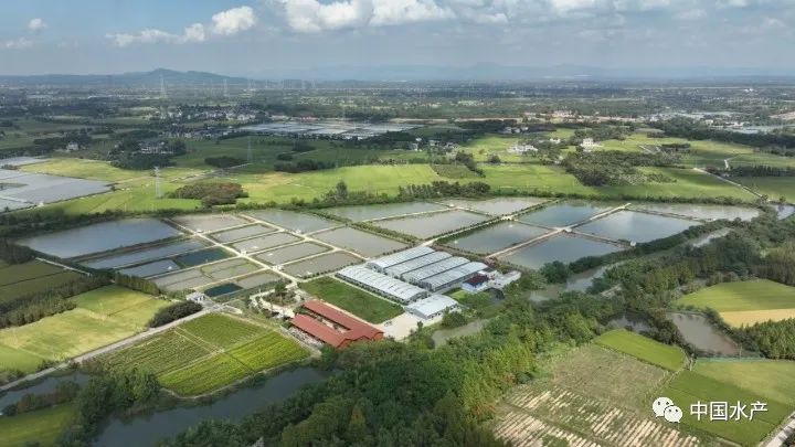 太湖猪的养殖_太湖养殖基地_南太湖2号养殖技术