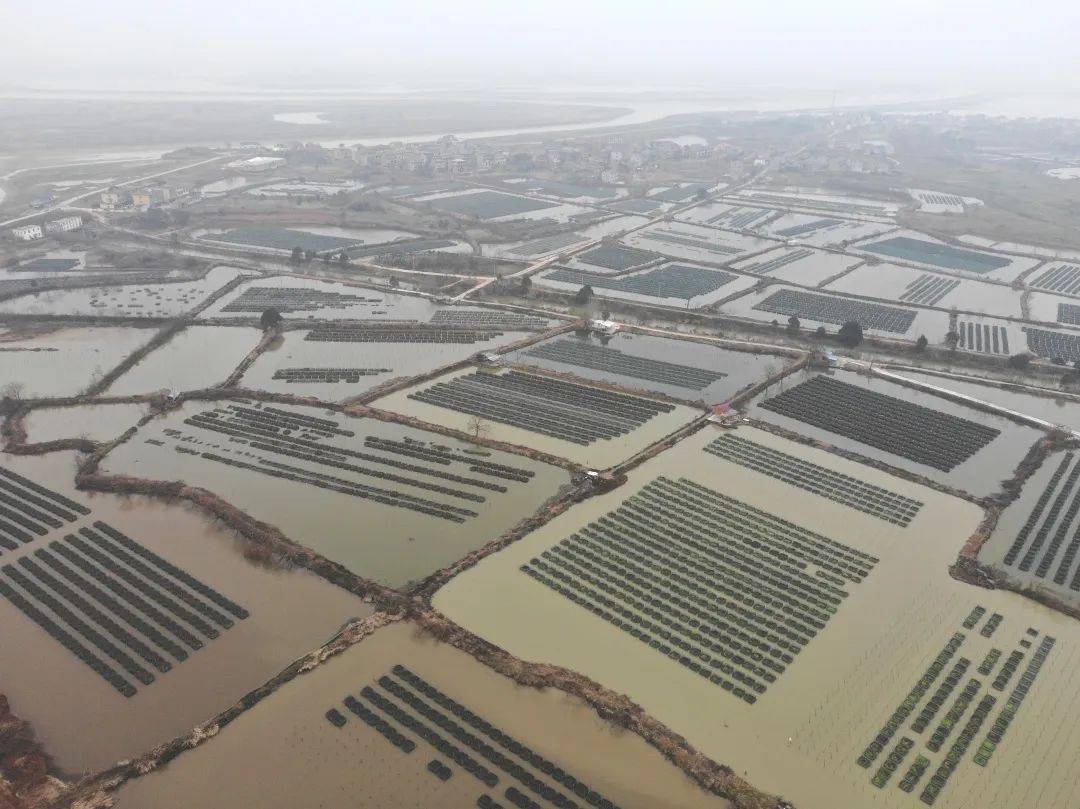 致富养殖鳝鱼图片_鳝鱼养殖致富_养殖鳝鱼的真实利润是多少