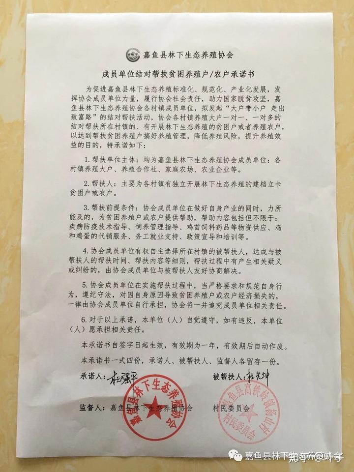 养鹅致富经_养殖鹅致富经_鸡鸭鹅养殖致富