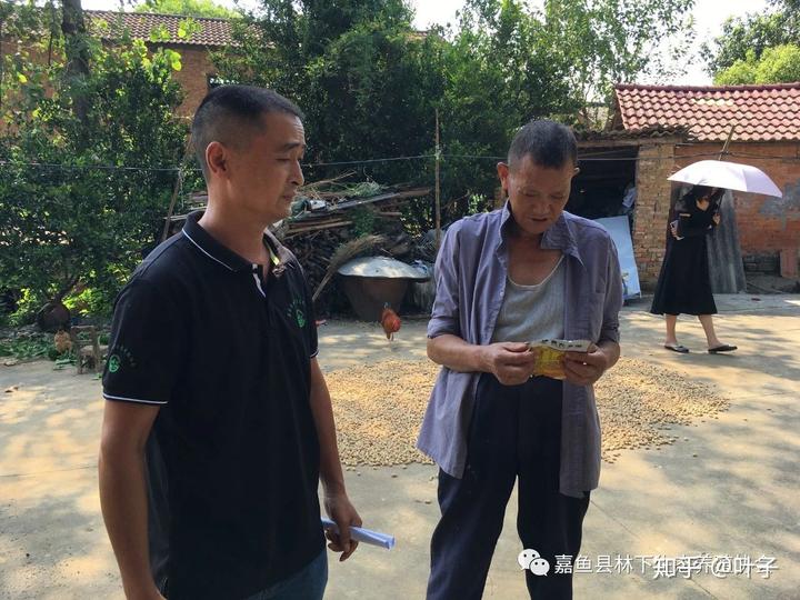 鸡鸭鹅养殖致富_养鹅致富经_养殖鹅致富经