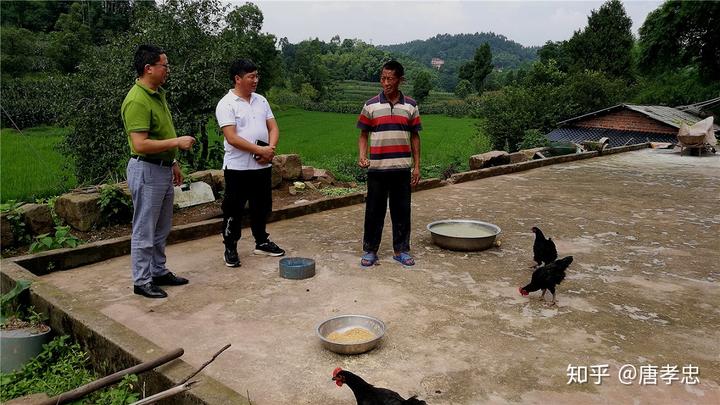 鹅养殖成本及利润差_养鹅养鸭养鸡的利润哪个大_鸡鸭鹅养殖致富